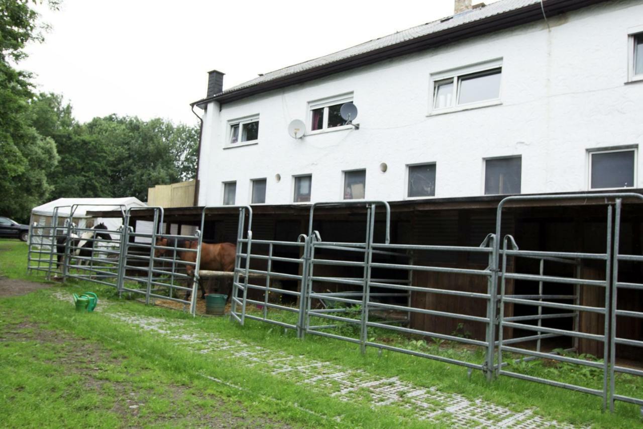 Ferienwohnung Ulrichstein/ Bobenhausen II Bobenhausen Zwei Exteriér fotografie